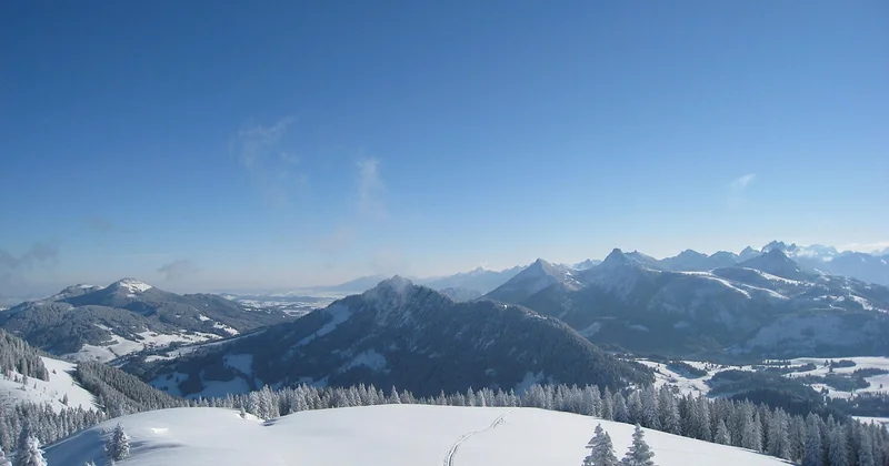 Wann muss ich die Schwangerschaft melden?