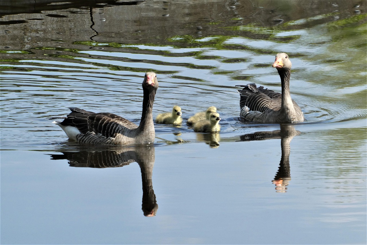 elternzeit: erfahren sie alles über ihre rechte, anträge und möglichkeiten während der elternzeit, um familie und beruf optimal zu vereinbaren.