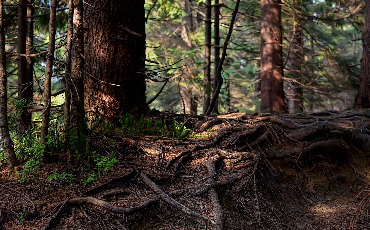 erfahren sie mehr über die optimale schlafdauer für bessere gesundheit und wohlbefinden. entdecken sie tipps für erholsamen schlaf und wie viel schlaf sie wirklich benötigen.